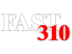 Adesivo Fast 310